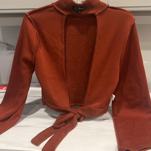 Lulus Rust Crop Sweater - Picture 5 of 5